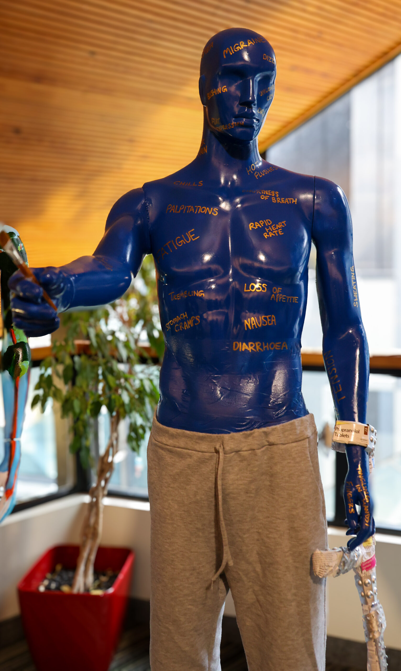 Mannequin image
