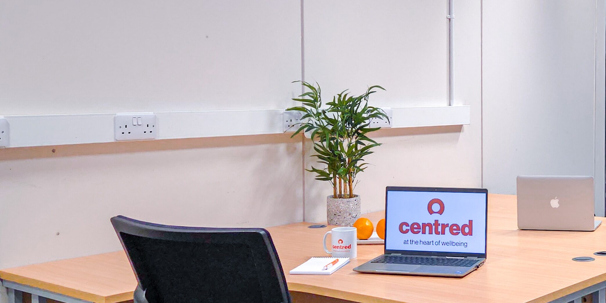 Office desk and chair with open laptop and plant