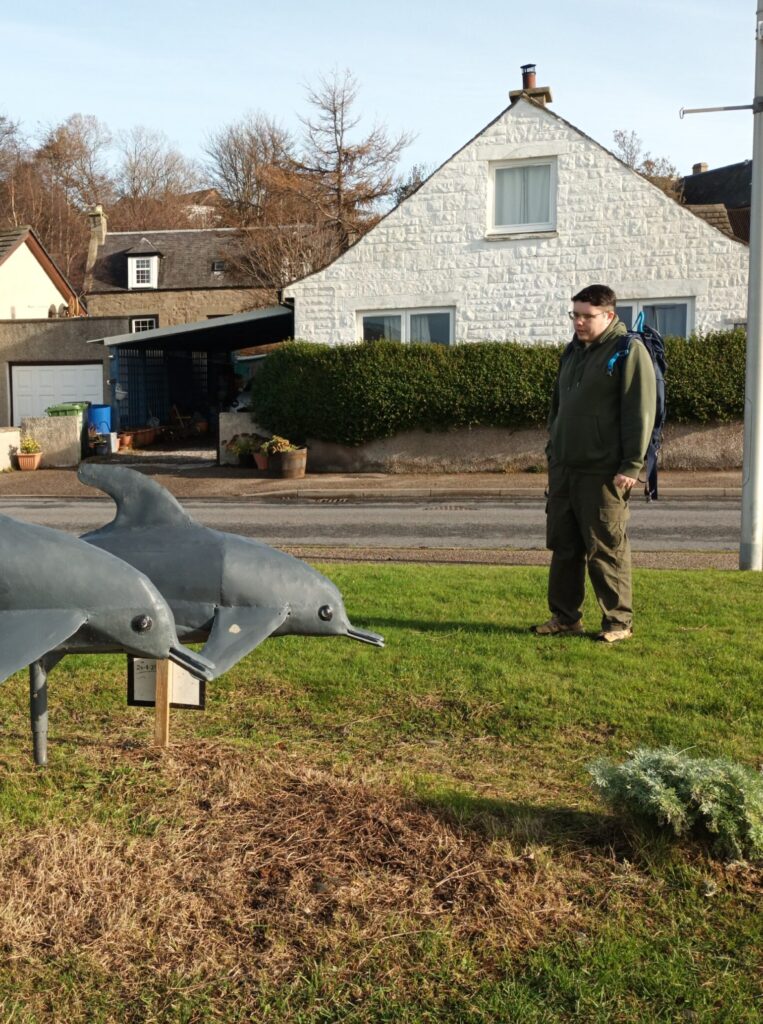 Young male looking at dolphin statues